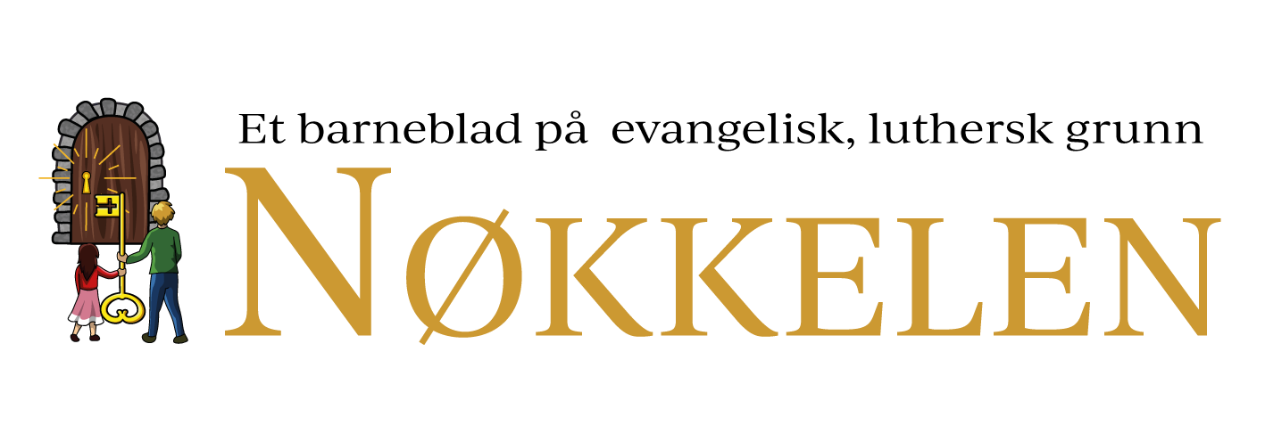 NORSK LUTHERSK LEKMANNSMISJON logo